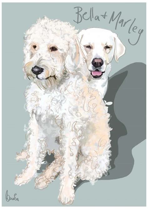 Higgledy Ink Illustration - Pet Portraits & illustrations for any occasion